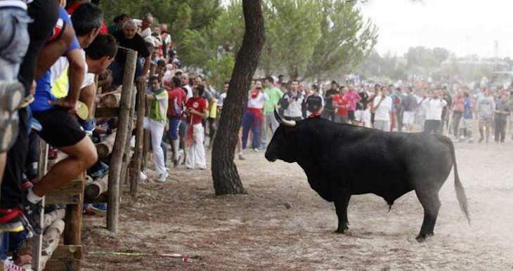 Toro de la Vega. Archivo.