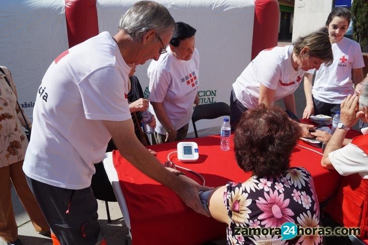 Semana de los Mayores de Cruz Roja. Archivo