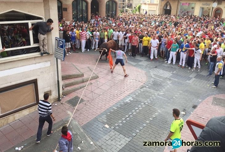  PP, PSOE e IU presentarán una moción en defensa de la fiesta del Toro Enmaromado 