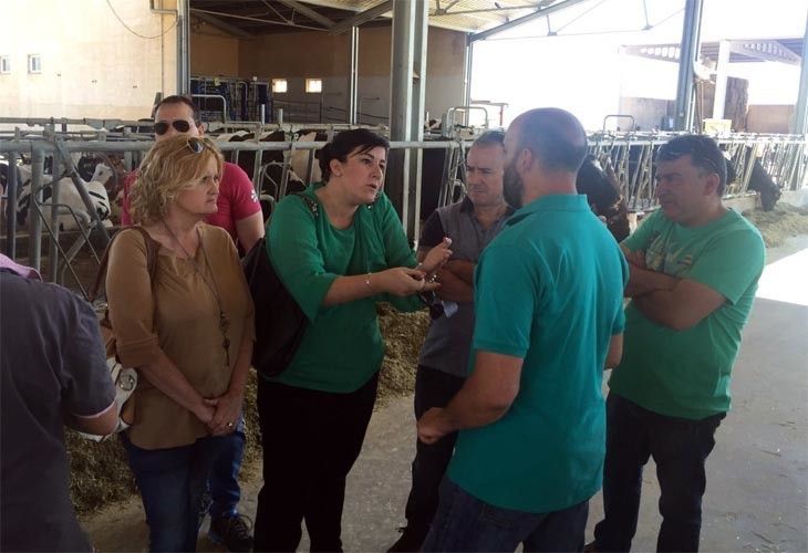  Los socialistas valoran positivamente la iniciativa de puertas abiertas en las explotaciones lácteas 