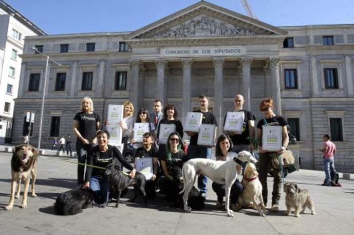  Pacma se presenta como el partido con más mujeres cabezas de lista 