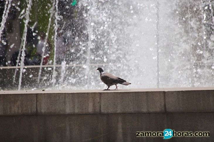  Las temperaturas suben ligeramente y aparecen algunas nubes altas 