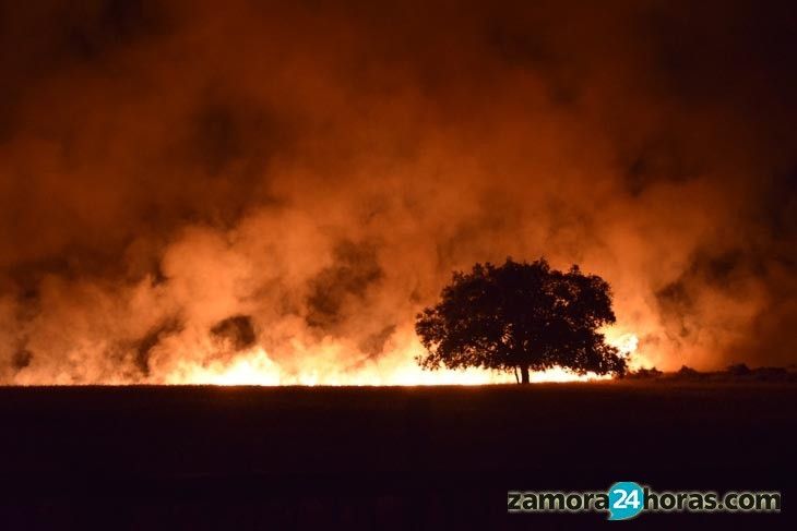  Incendio Tardobispo 