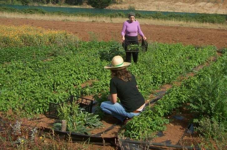 Profesionales del campo. Agricultura.