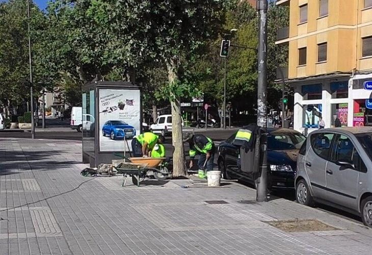  Trabajadores de los planes de empleo. Archivo