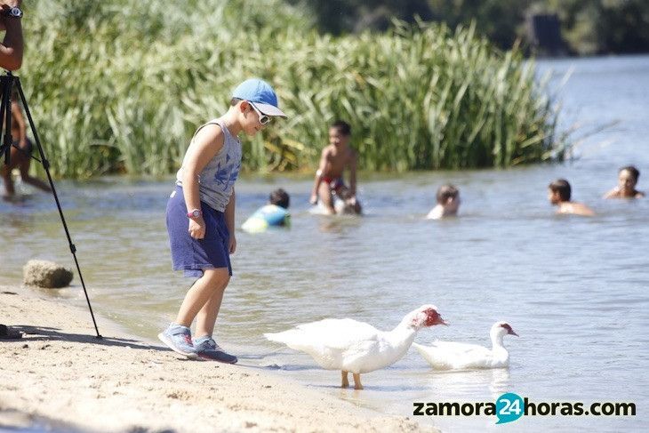 Un niño juega en Los Pelambres