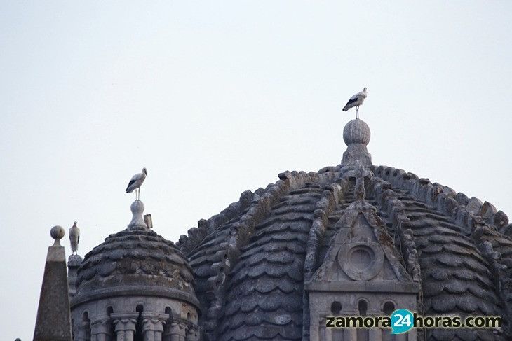  Máximas de casi treinta grados antes de otra bajada de las temperaturas 