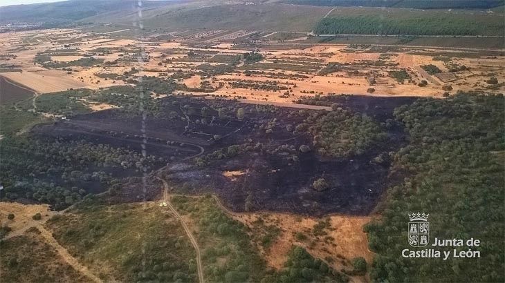  La superficie arbolada quemada en la región desciende un 56 % respecto de la última década 