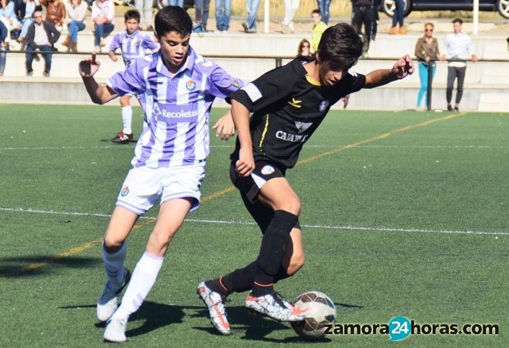  Cadetes e infantiles del Zamora dan la cara ante el siempre poderoso Real Valladolid 