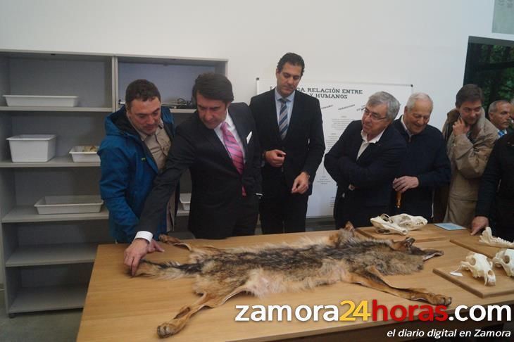  El primer año del Centro del Lobo Ibérico de Sanabria atrae a más de 33.000 visitantes 