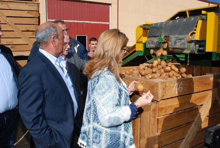  Martín Pozo destaca el soporte de la Diputación al sector primario en su visita a una cooperativa de patatas 