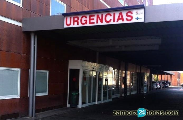  La salmonella fue la causante del brote de gastroenteritis de la residencia de Fermoselle 