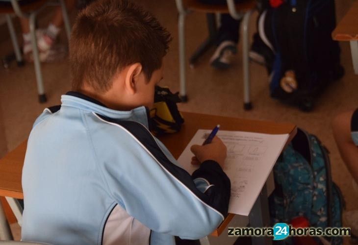  Más de 1.200 escolares de 76 centros de Zamora realizarán la evaluación de 3º de Primaria 