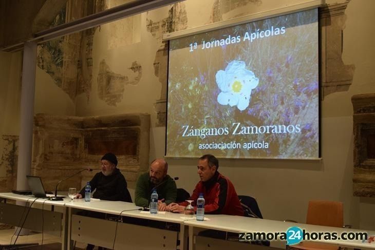  La asociación 'Zánganos Zamoranos' analiza la situación del sector apícola con Román Cid 