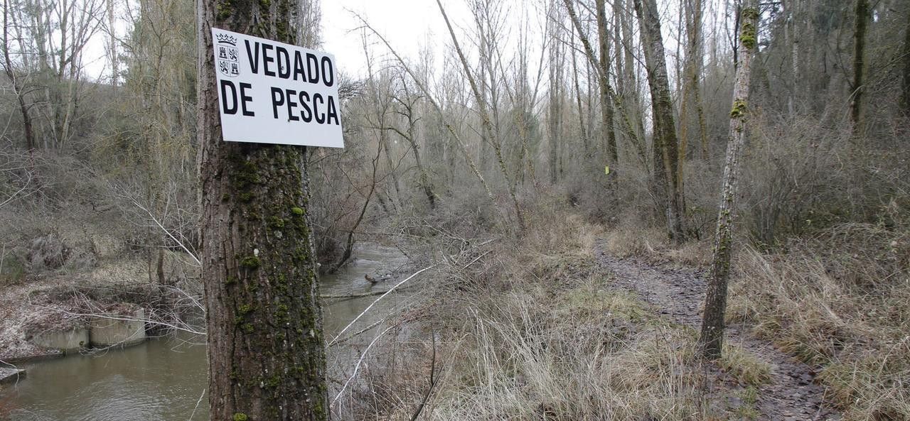  Establecidas las normas reguladoras de la pesca 