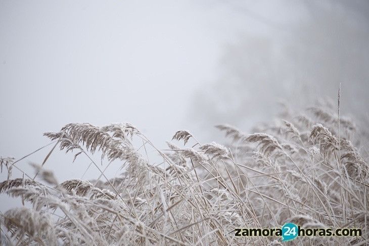 La temperatura de Sanabria esta madrugada, entre las más bajas de todo el país