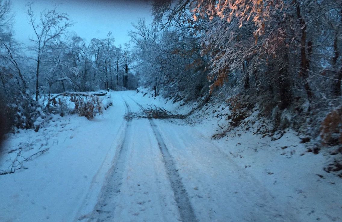  169 alumnos sanabreses se quedan sin clase por culpa de la nieve 