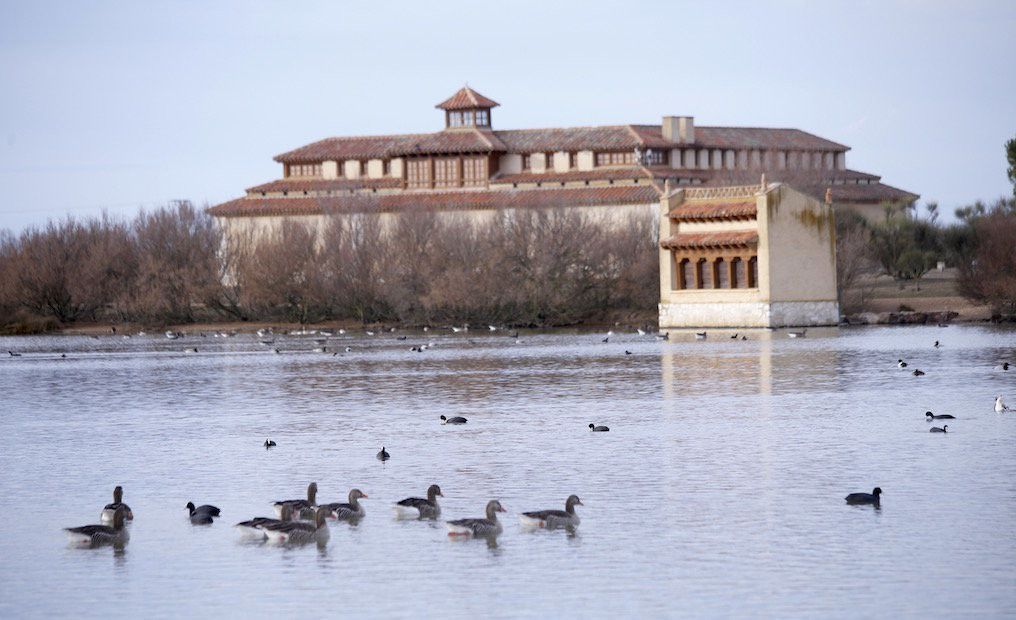 Lagunas de Villafáfila