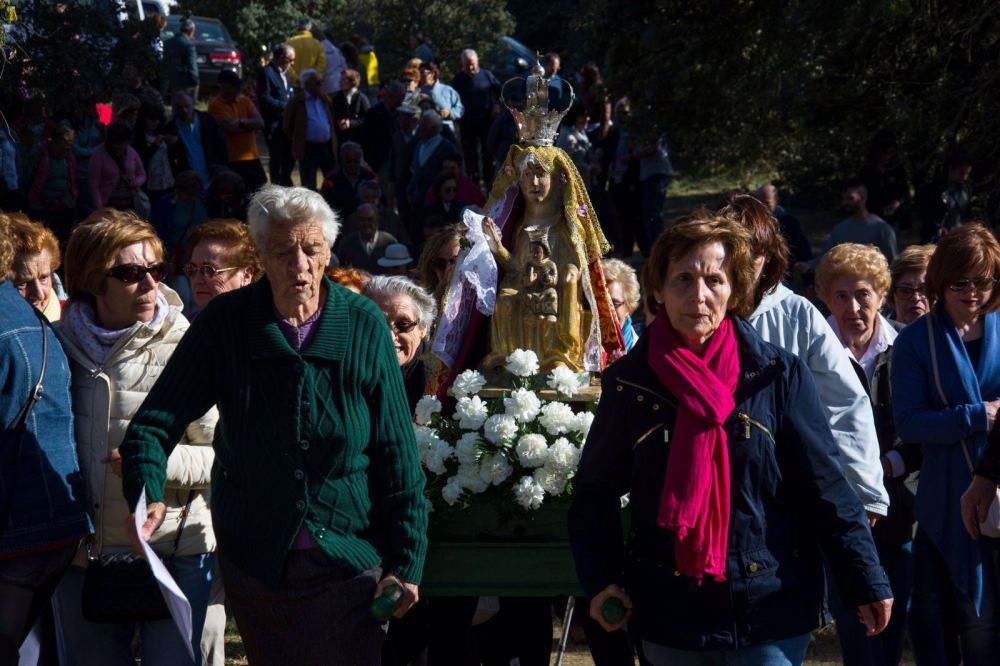  Granja de Moreruela se abre al mundo a través de las redes 