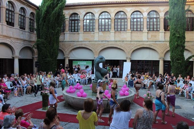  XVI desfile de la AECC de Zamora 2017 