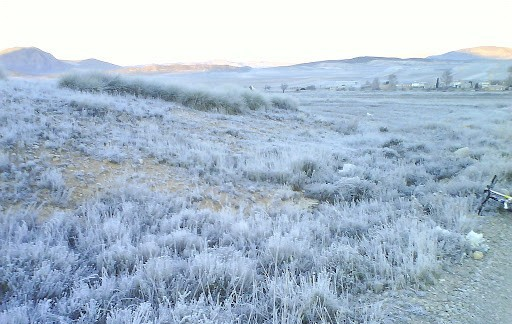 Heladas en los campos 