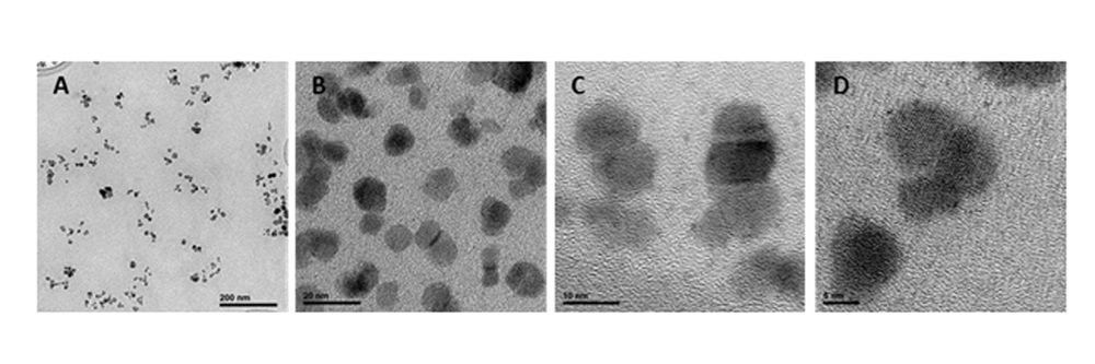  Avance en la lucha contra el cáncer con nanopartículas que atacan directamente las células tumorales 