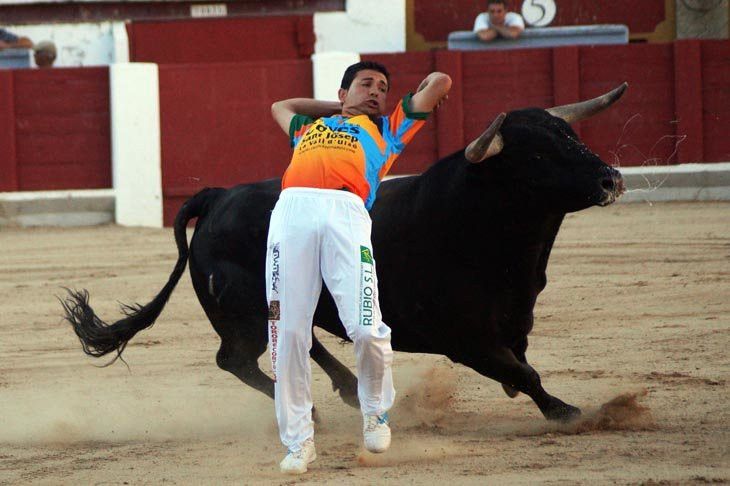  Fuentesaúco acoge la primera semifinal del Campeonato Regional de Cortes de Castilla y León 