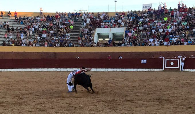  El toresano “Garci”, corneado en la primera semifinal del Campeonato Regional de Cortes 