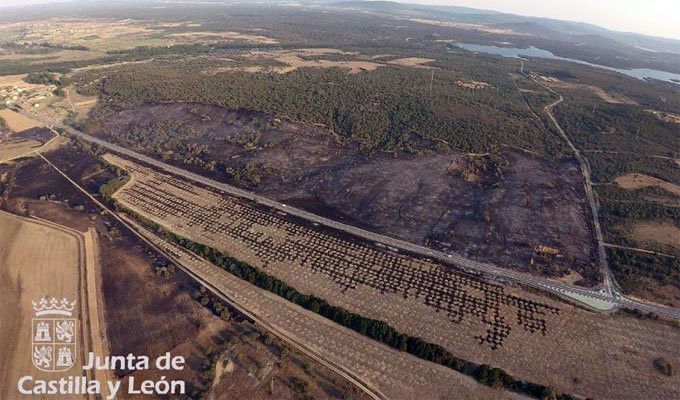  Desciende a nivel 1 el incendio de Vega de Tera 