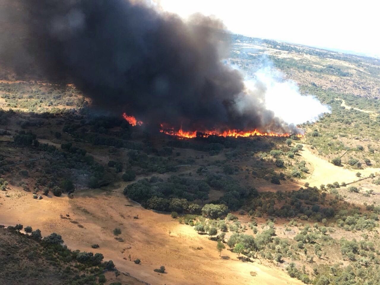  La Junta declara nivel 2 en el incendio forestal de Pino del Oro 