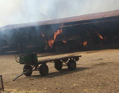  Evacuado Bermillo de Alba por la proximidad del incendio 