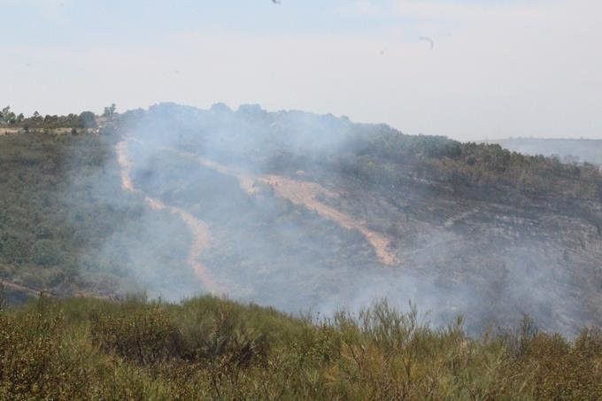  La zona afectada por el incendio muestra la peor cara del fuego en Pino del Oro 