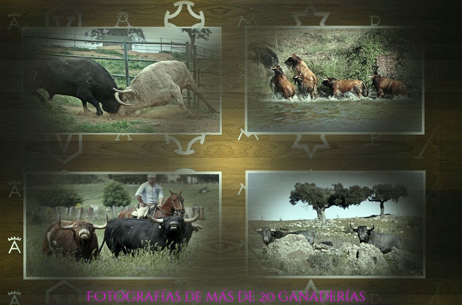  Cartel Exposicioìn 