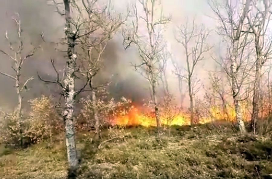  Incendio grisuela 