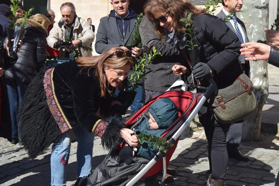  Entrega Acebos 2018 diputación 