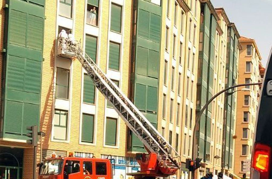  Enjambre avispas bomberos 