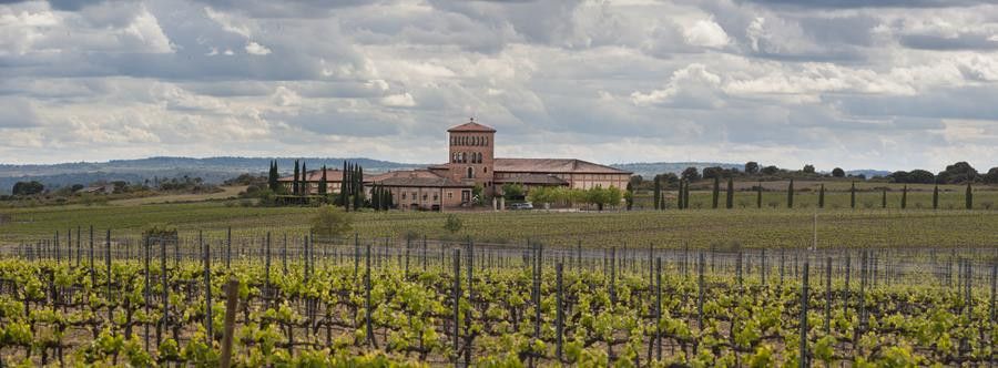  J.PASCUAL Viñedo y bodega Fermoselle (Copy) 