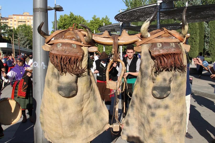  Desfile de mascaradas en Zamora en el año 2018