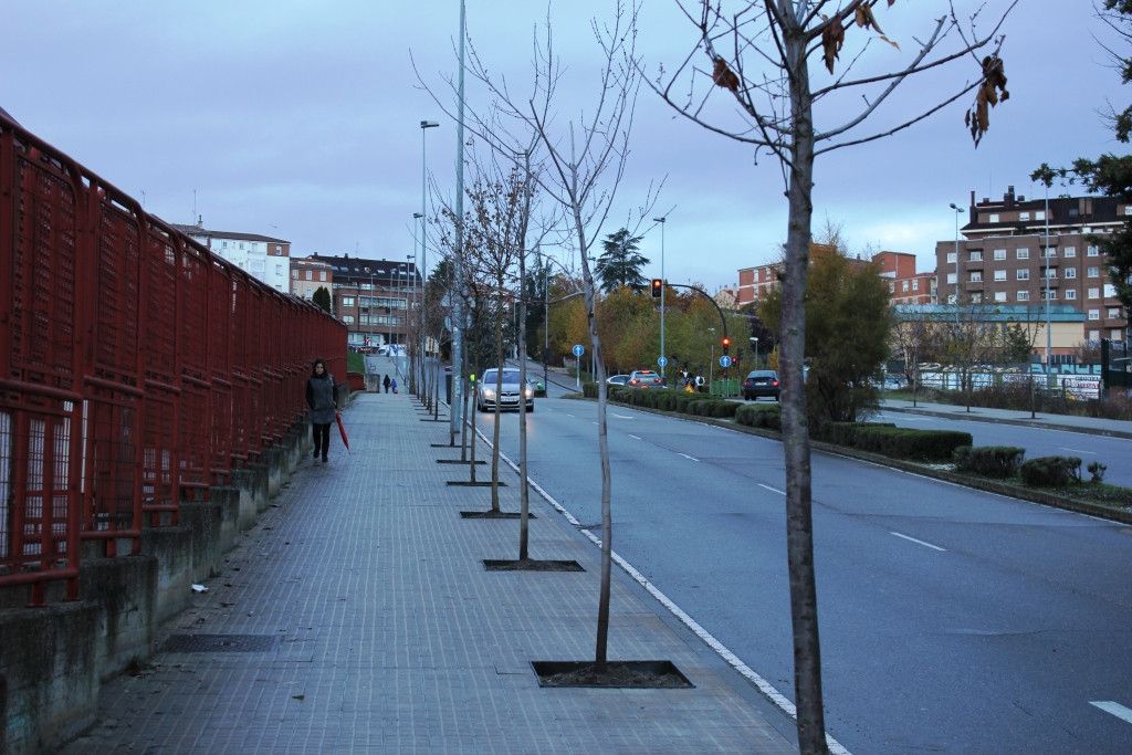  Arboles El Bolón 1 