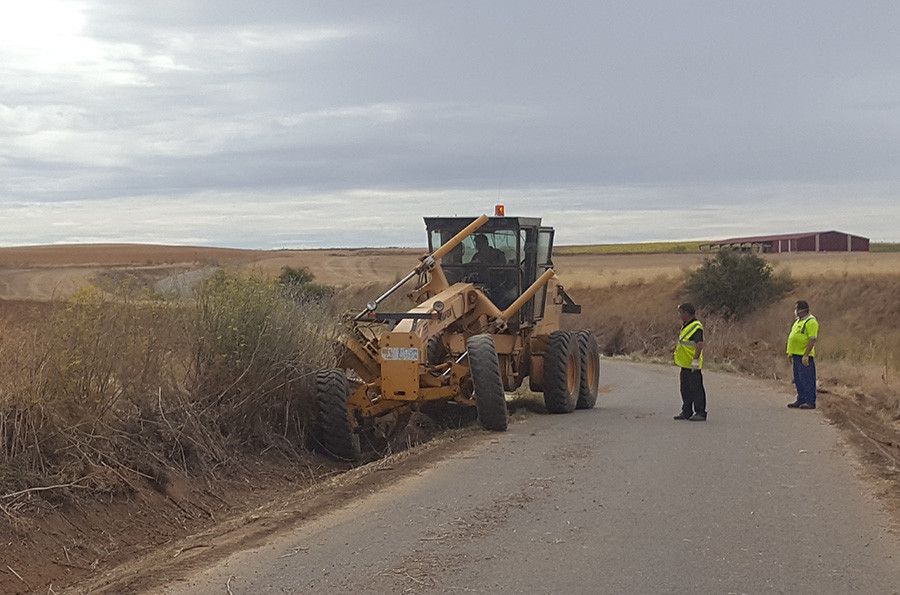 Labores de prevención contra el topillo