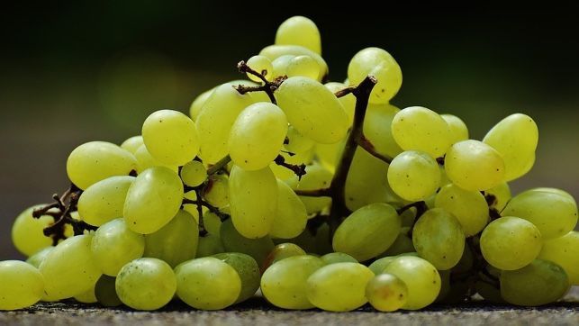  Uvas 