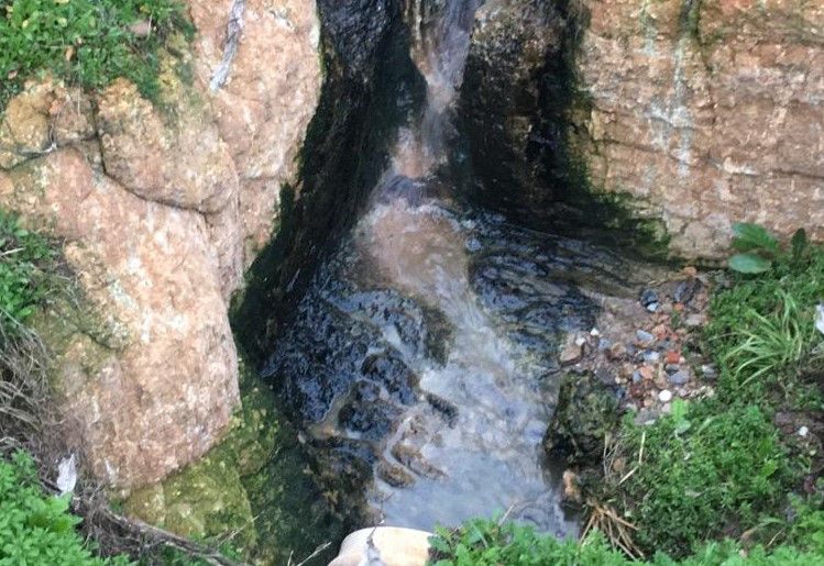  Vertidos de aguas fecales junto al río Duero, Toro 