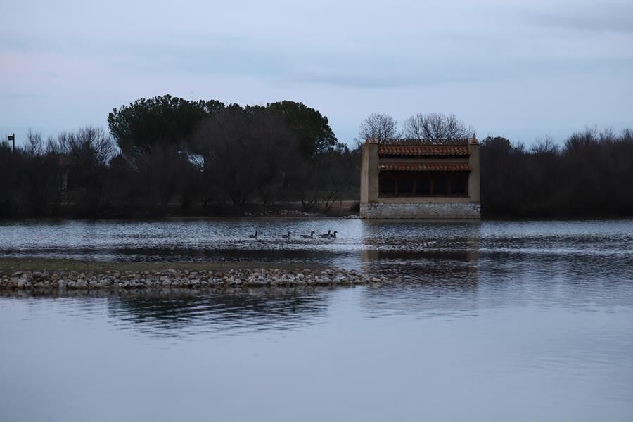  Villafafila humedales lagunas casaparque (5) 