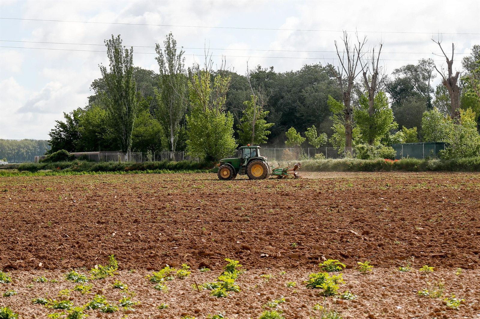 Organización agraria. PAC. Archivo.