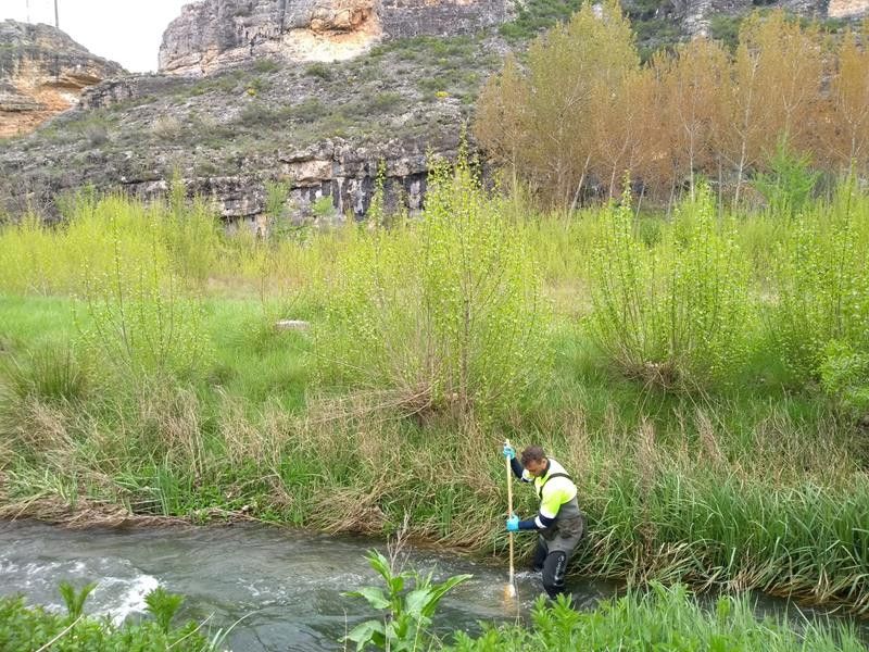  MUESTREO     RÍO ESCALOTE  BERLANGA DE DUERO SORIA 