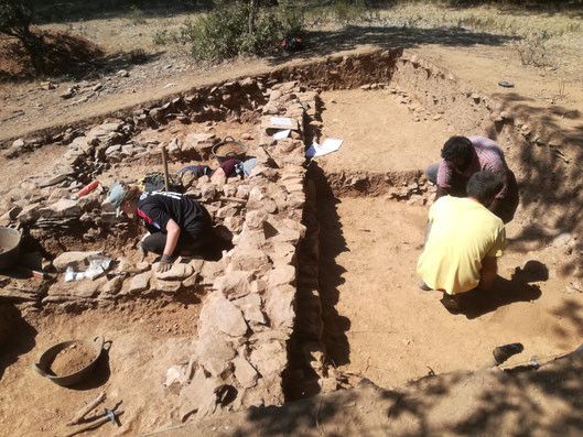  Castro Mellanes Rabanales Zamora Protohistorica. Archivo