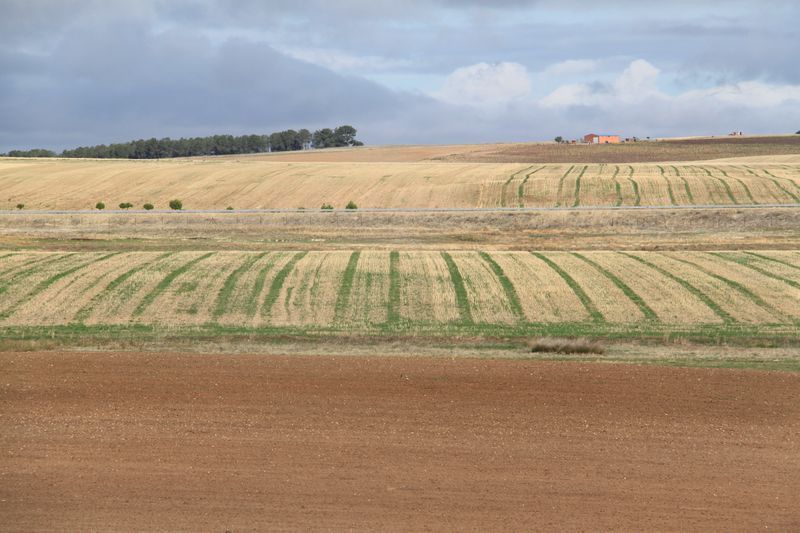 Terrenos agrícolas